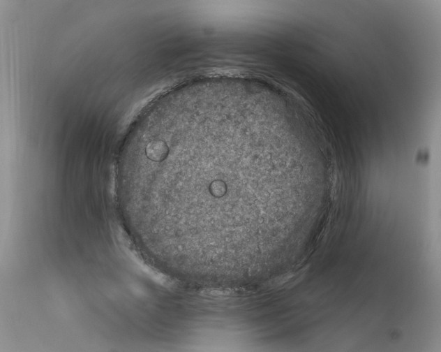 X0000111870729200909031815