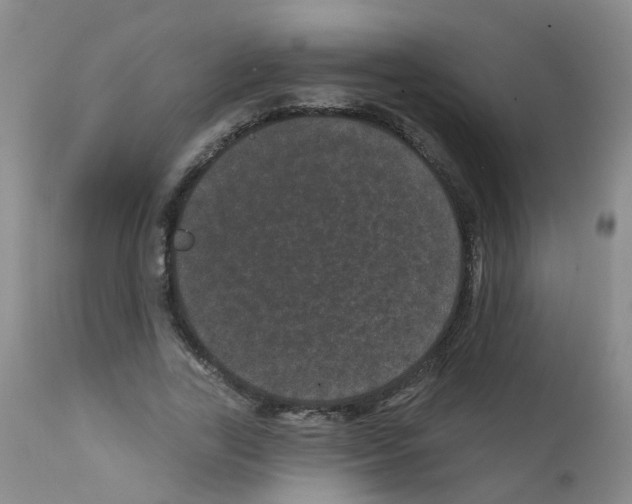 X0000111870731200909031815