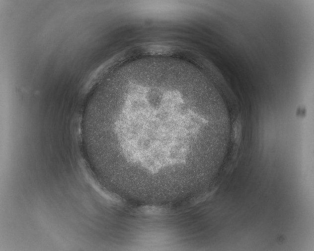 X0000111870733200909031815