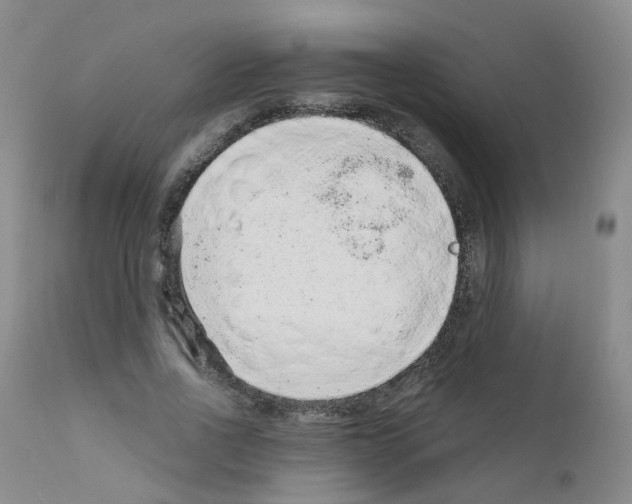 X0000111870734200909031815