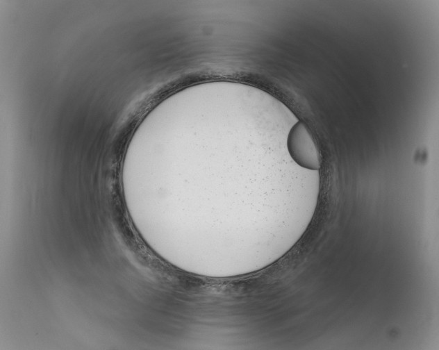 X0000111870736200909031815