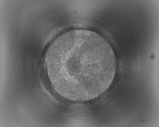 X0000111870738200909031815