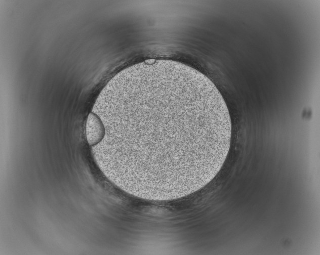 X0000111870743200909031815