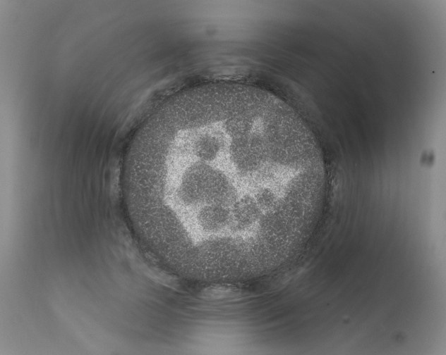 X0000111870745200909031815