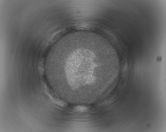 X0000111870749200909031815