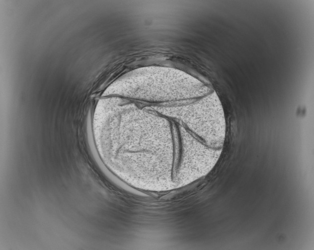 X0000111870750200909031815