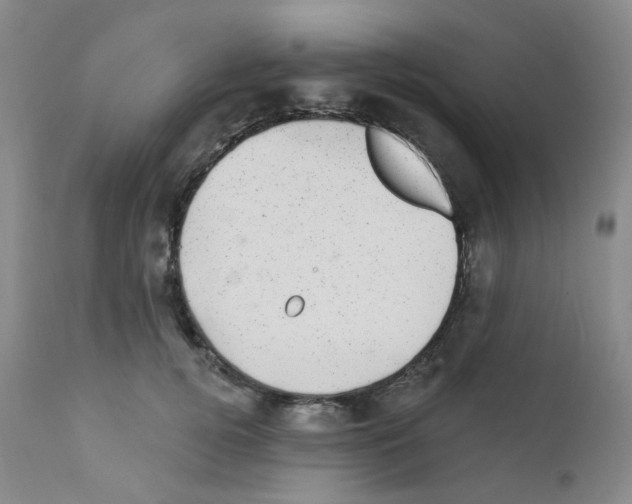 X0000111870752200909031815