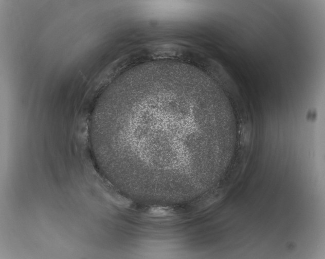 X0000111870753200909031815