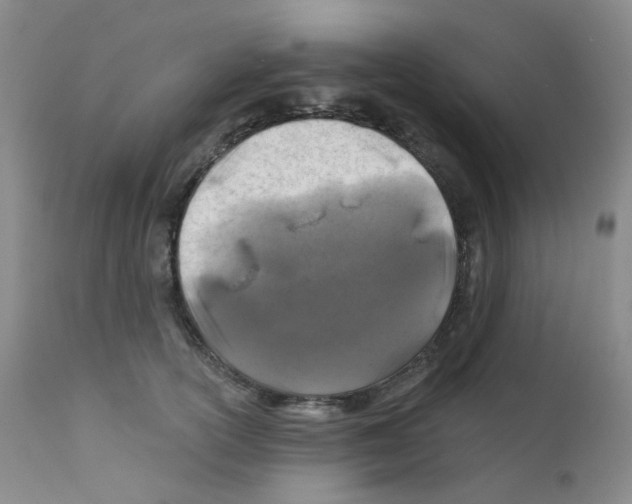 X0000111870754200909031815