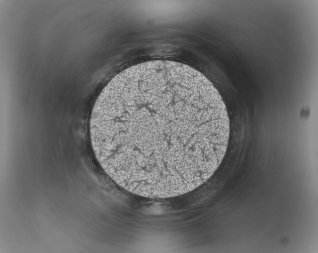 X0000111870755200909031815