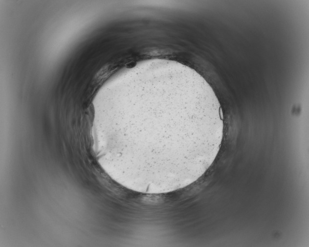 X0000111870762200909031816