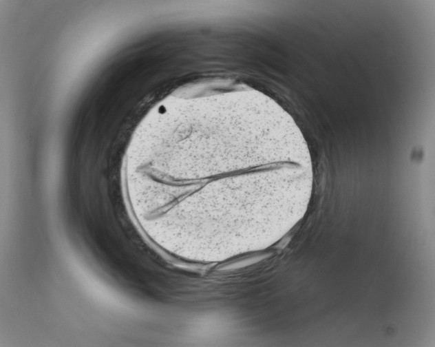 X0000111870764200909031816