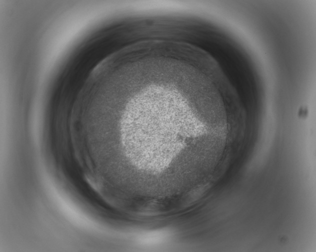 X0000111870765200909031816