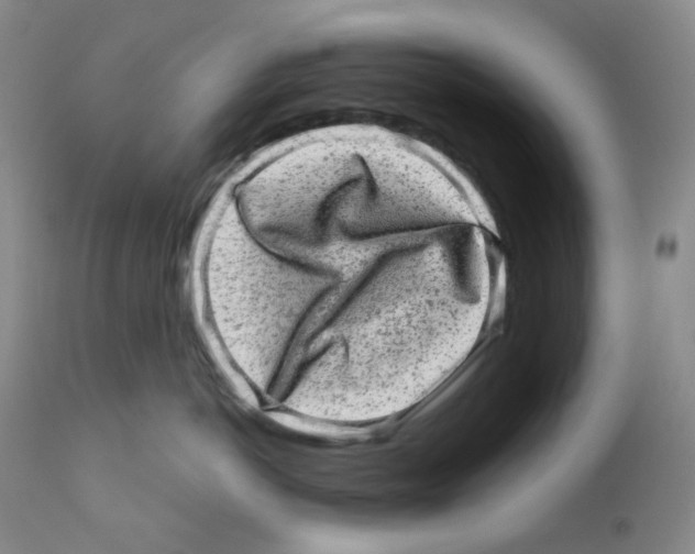 X0000111870766200909031816