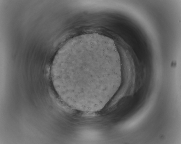 X0000111870767200909031816