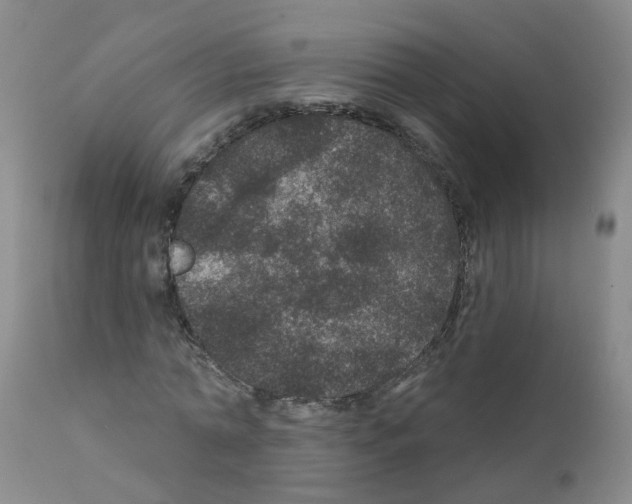 X0000111870774200909031815