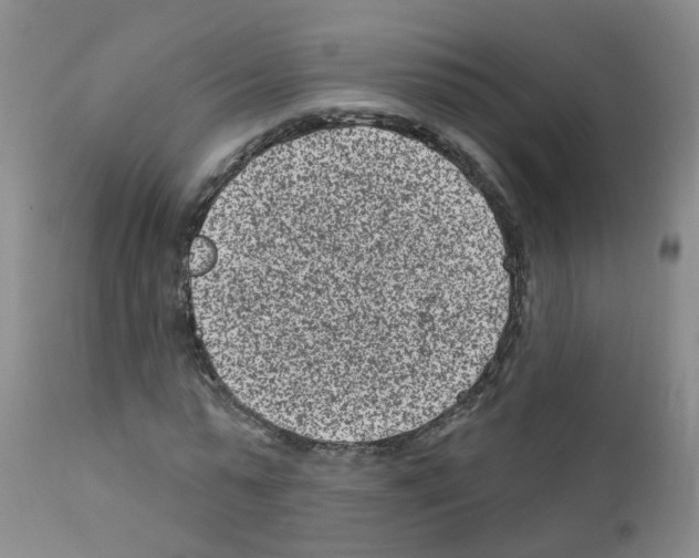 X0000111870775200909031815