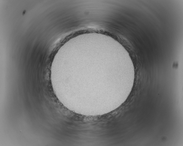 X0000111870776200909031815