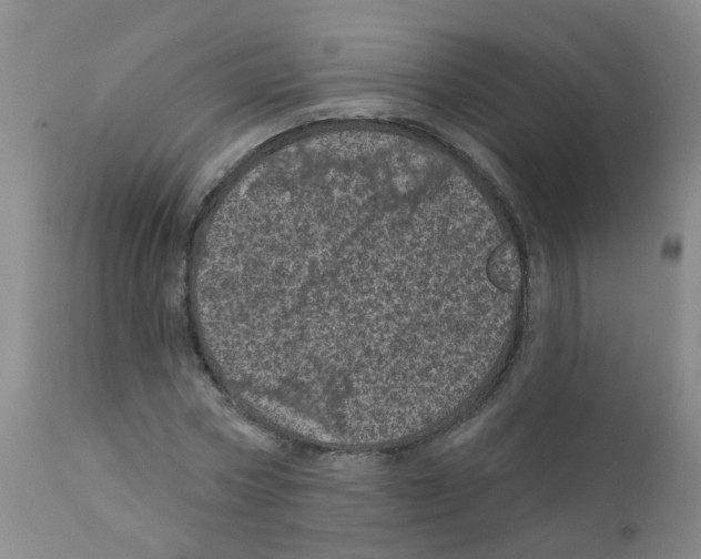 X0000111870778200909031815