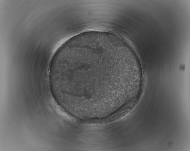 X0000111870779200909031815