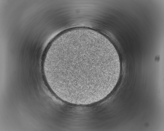 X0000111870780200909031815