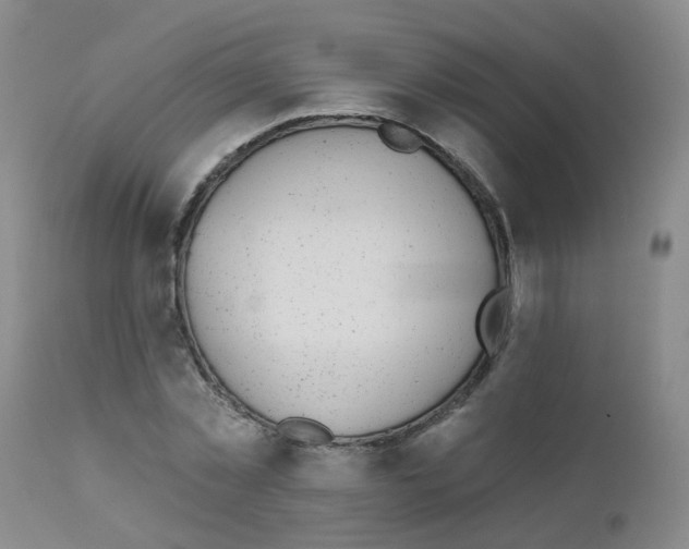 X0000111870781200909031815