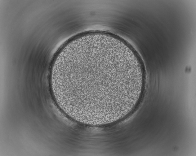 X0000111870783200909031815