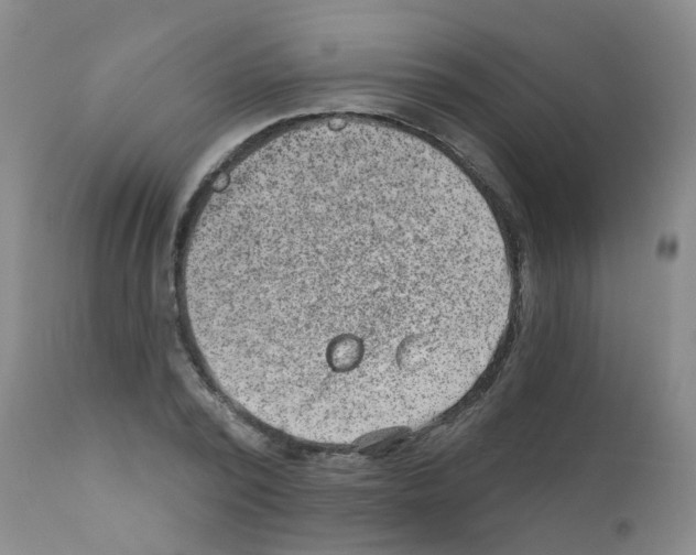 X0000111870784200909031815