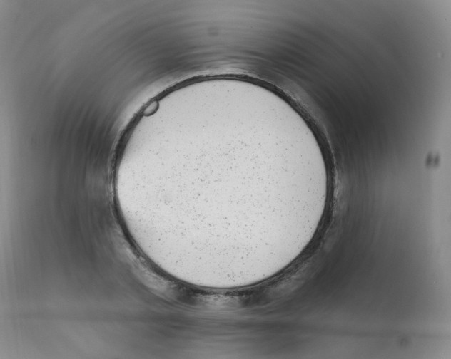 X0000111870789200909031815