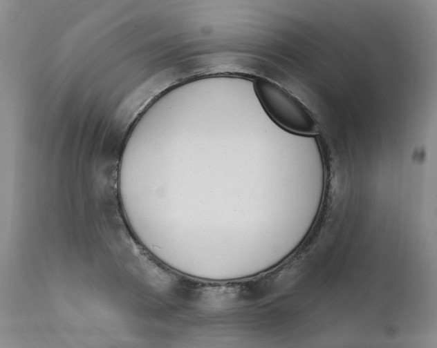 X0000111870793200909031814