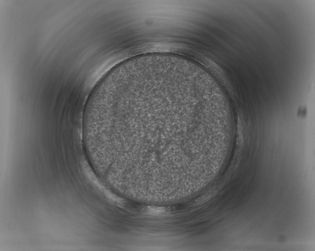 X0000111870794200909031814