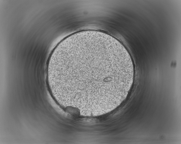 X0000111870795200909031814