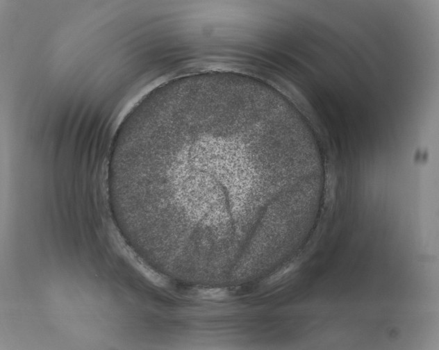 X0000111870798200909031814