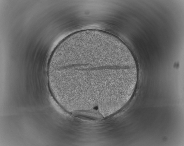 X0000111870800200909031814