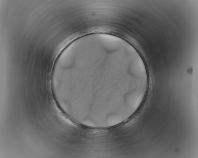 X0000111870802200909031814