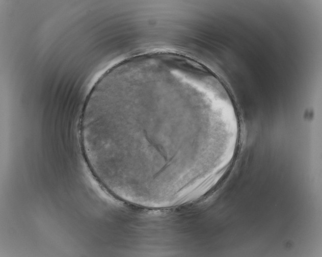 X0000111870806200909031814