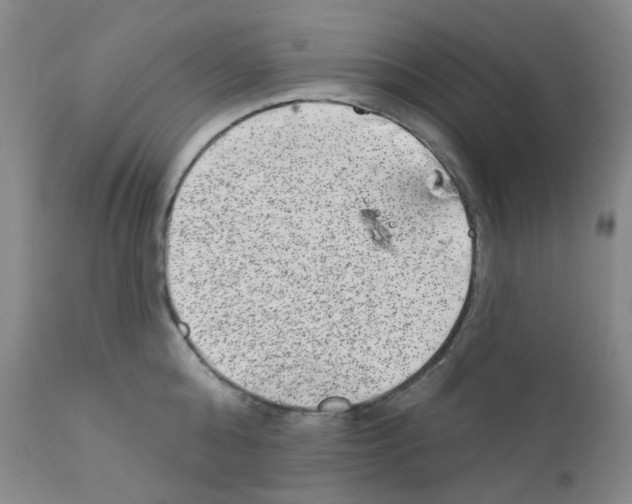 X0000111870808200909031814