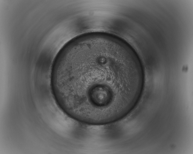 X0000111870810200909031814