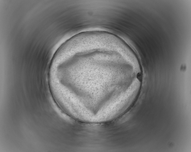 X0000111870813200909031814