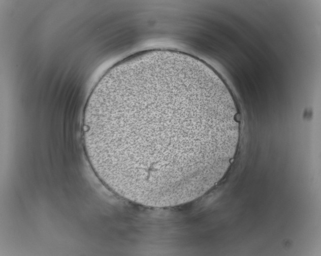 X0000111870815200909031814