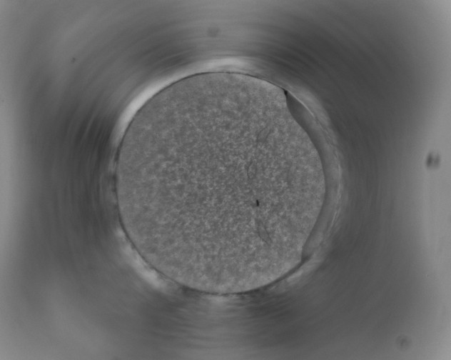 X0000111870816200909031814