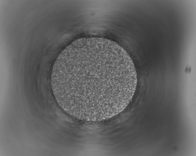 X0000111870817200909031813