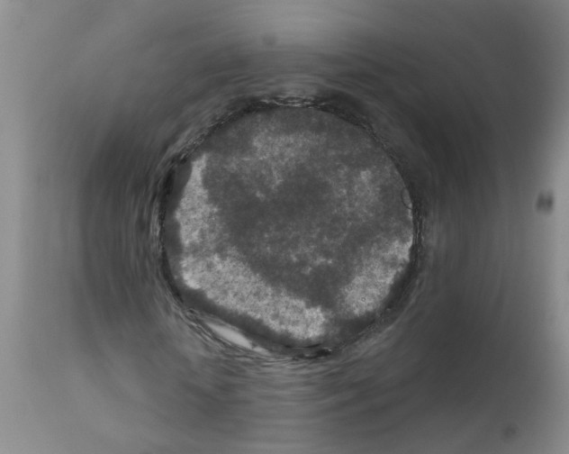 X0000111870818200909031813