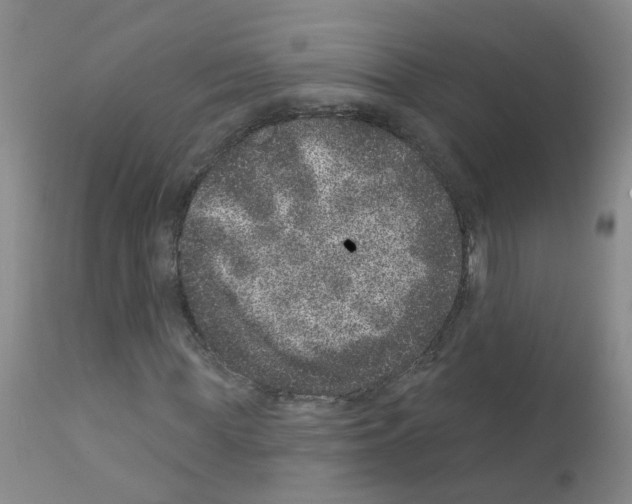 X0000111870819200909031813