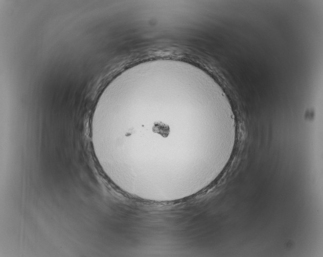 X0000111870820200909031813