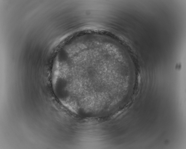 X0000111870822200909031813