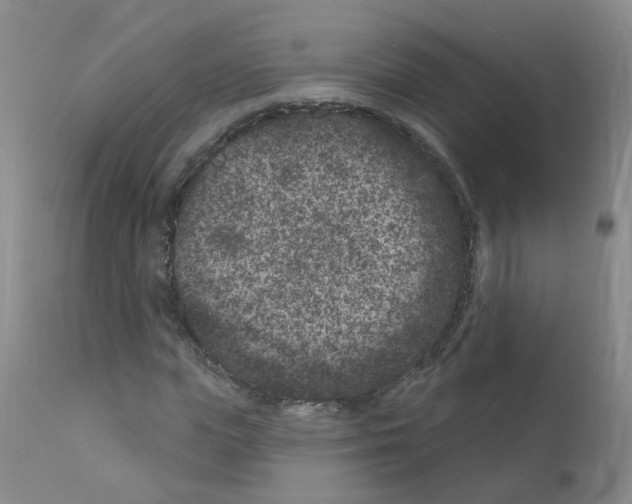 X0000111870823200909031813