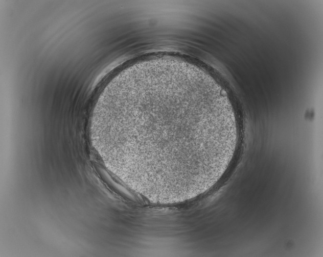 X0000111870826200909031813