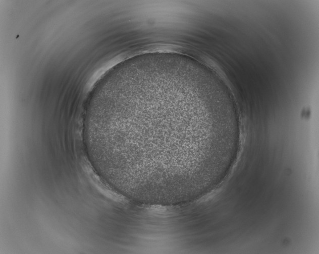 X0000111870827200909031814