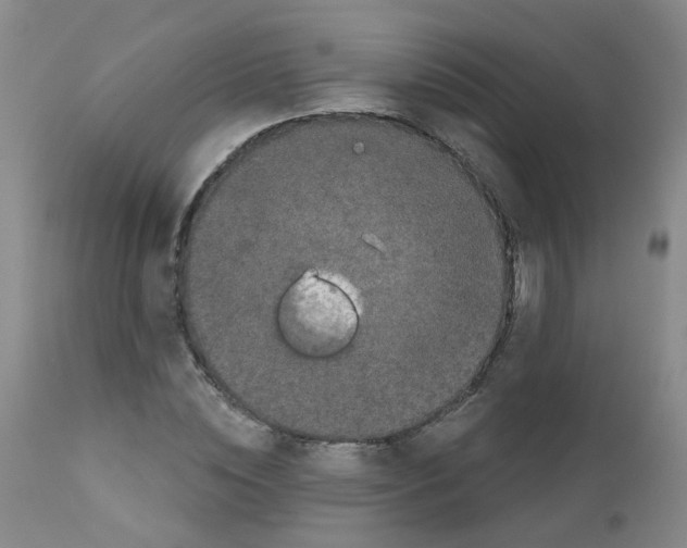 X0000111870828200909031814